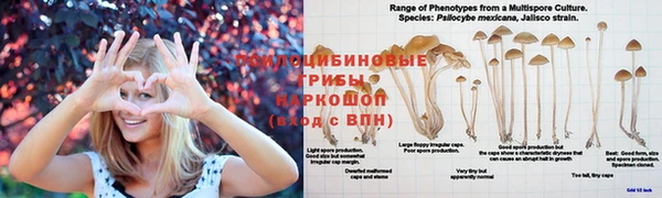 спайс Сатка